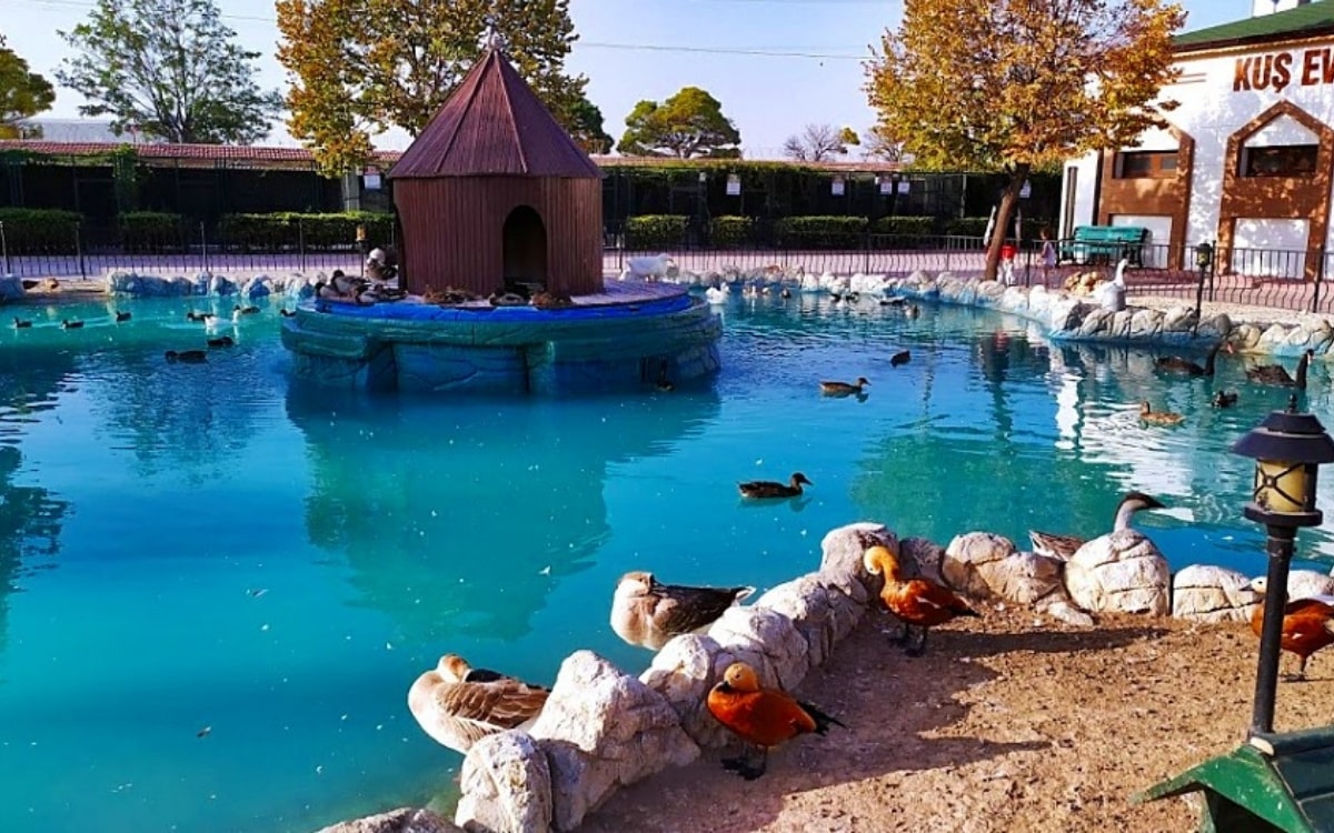 Konya Hayvanat Bahçesi Gezi Rehberi